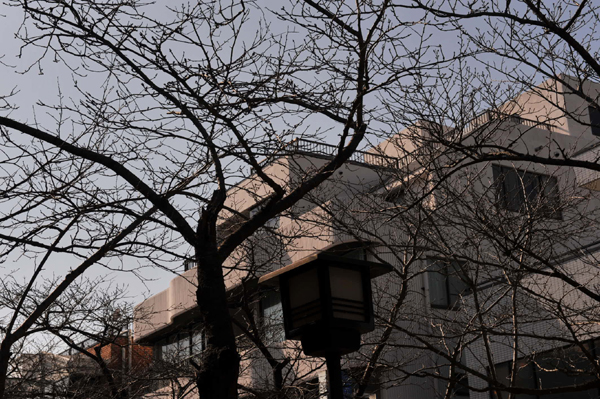 210 kamakura 3 DSC_9271.jpg